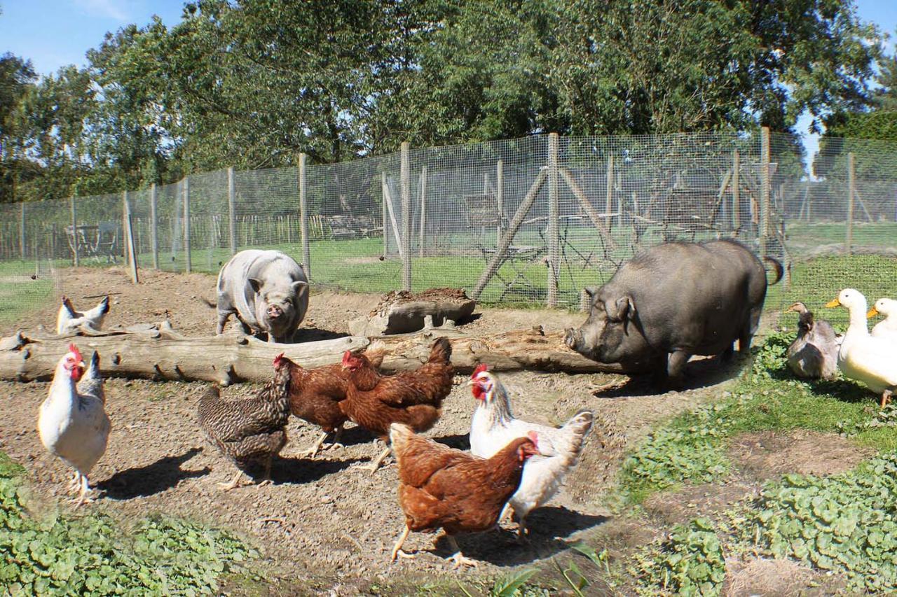Bed and Breakfast Comme A La Ferme Durbuy Zewnętrze zdjęcie